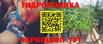 ГАЛЛЮЦИНОГЕННЫЕ ГРИБЫ Тверь