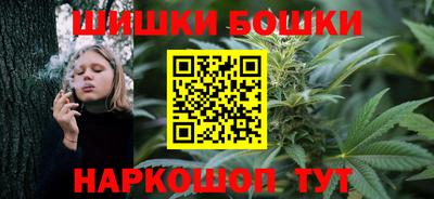 мдпв Татарск