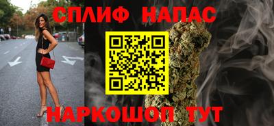 мдпв Татарск