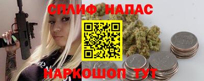 мдпв Татарск